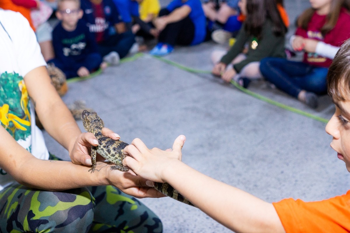 Buffet Kifolia Prime, SOS Ambiental, Teatro ambiental, Fotografo Tatuapé, Fotografo Anália Franco, Fotografo Kifolia, Fotografo de momentos, Fotografia espontânea infantil , Fotografo Buffet Kifolia Prime