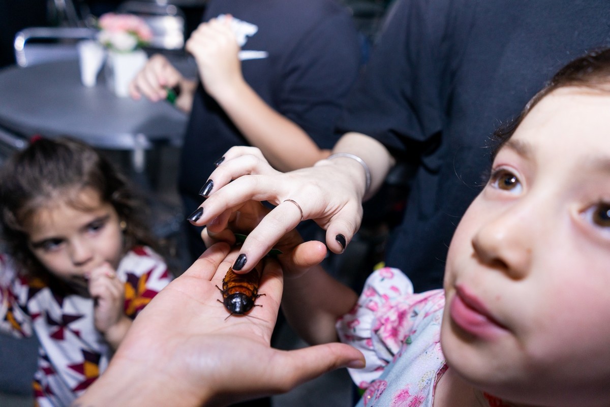 Buffet Kifolia Prime, SOS Ambiental, Teatro ambiental, Fotografo Tatuapé, Fotografo Anália Franco, Fotografo Kifolia, Fotografo de momentos, Fotografia espontânea infantil , Fotografo Buffet Kifolia Prime