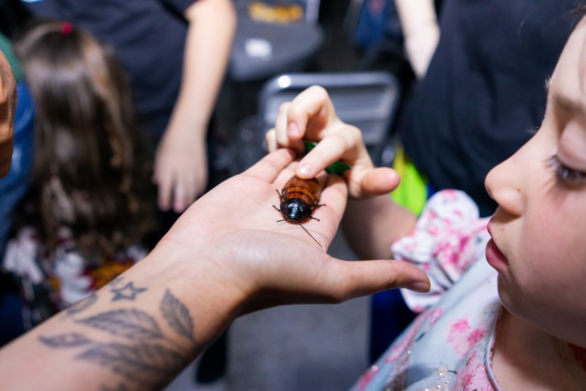 Buffet Kifolia Prime, SOS Ambiental, Teatro ambiental, Fotografo Tatuapé, Fotografo Anália Franco, Fotografo Kifolia, Fotografo de momentos, Fotografia espontânea infantil , Fotografo Buffet Kifolia Prime