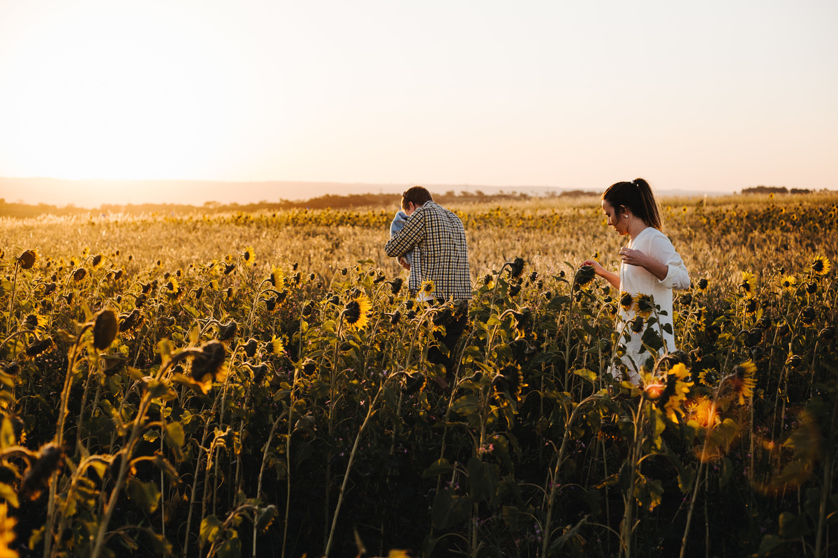 Lifestyle Família Fotos em Casa Documental Plantação Girassol Botucatu