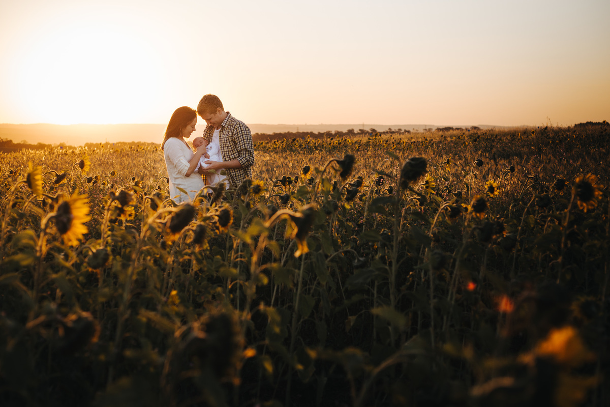 Lifestyle Família Fotos em Casa Documental Plantação Girassol Botucatu