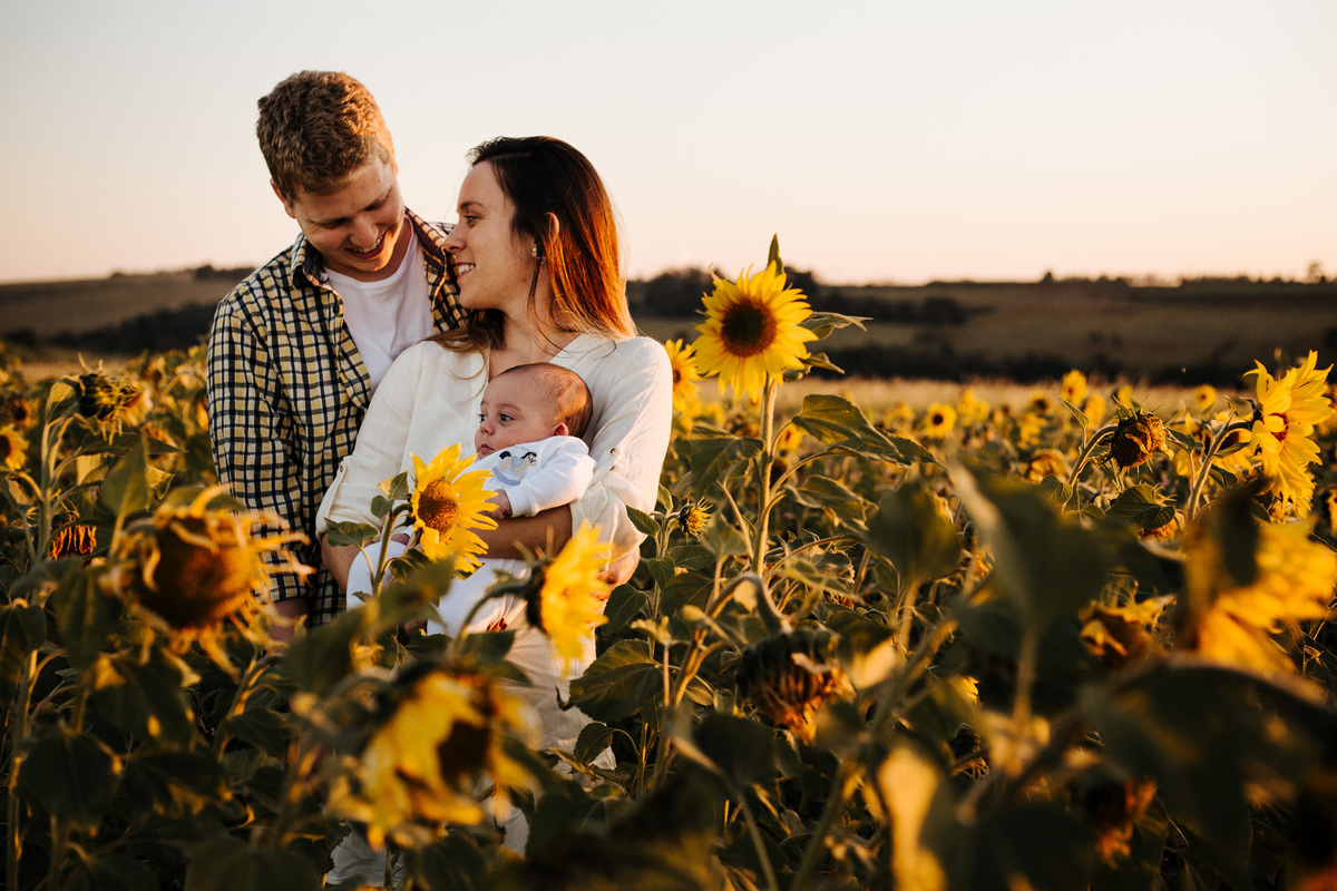 Lifestyle Família Fotos em Casa Documental Plantação Girassol Botucatu