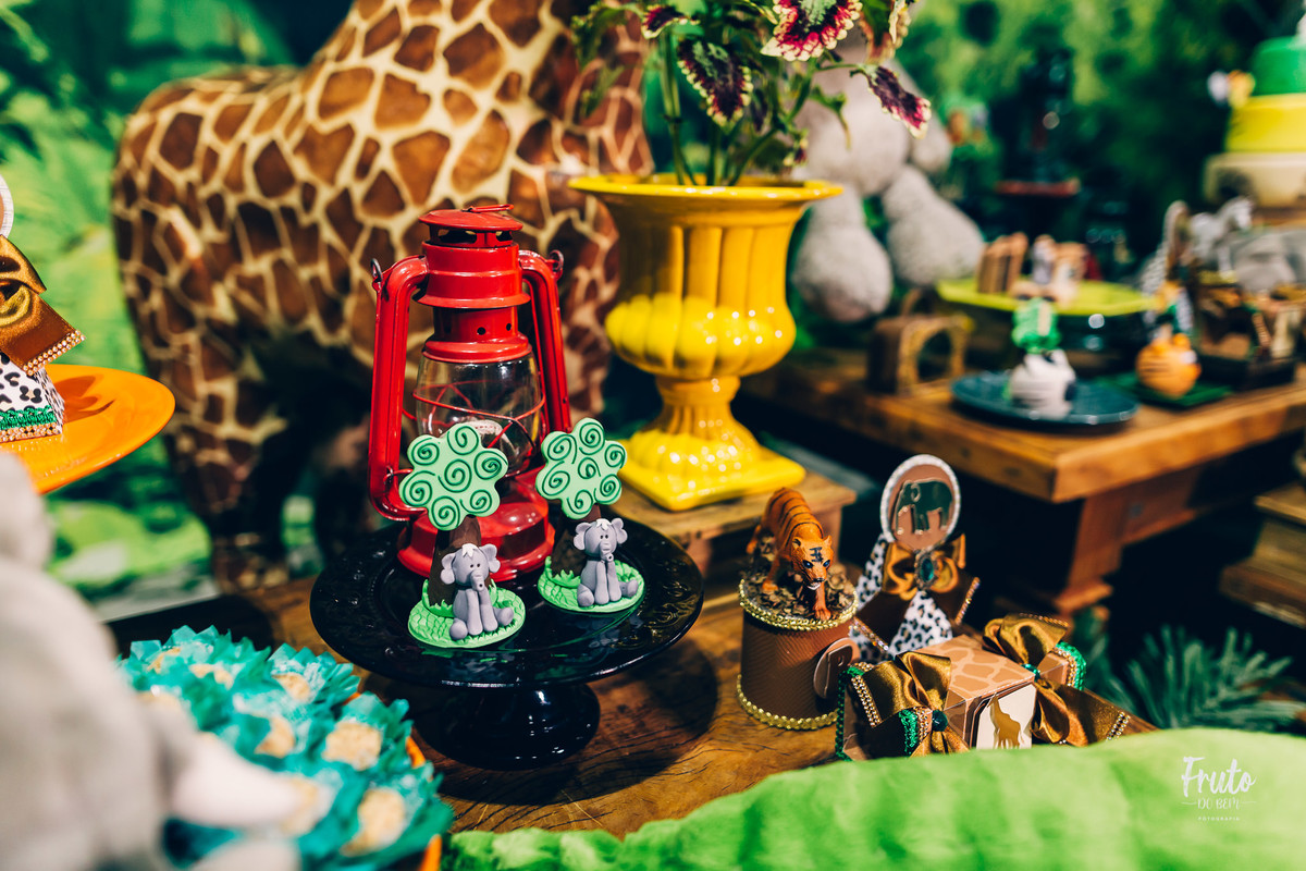 aniversário infantil jaú SP decoração safari joão e maria festa menino fotografo gustavo quagliato