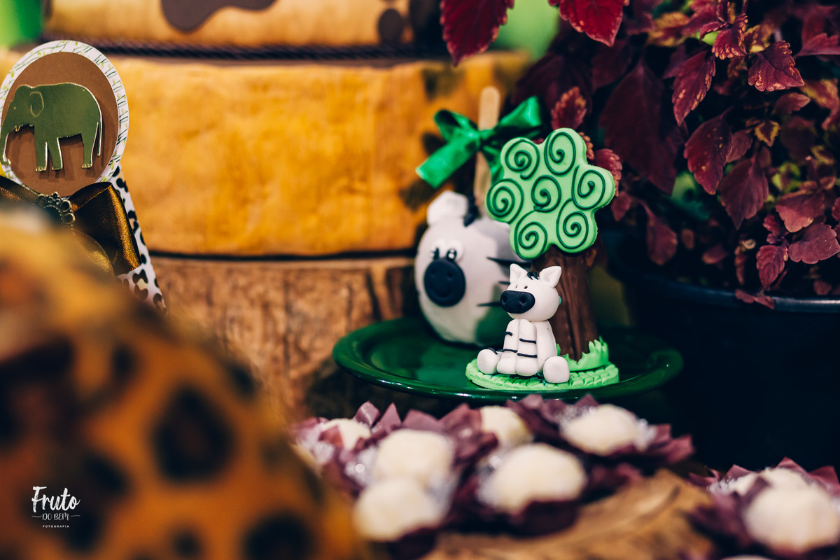 aniversário infantil jaú SP decoração safari joão e maria festa menino fotografo gustavo quagliato
