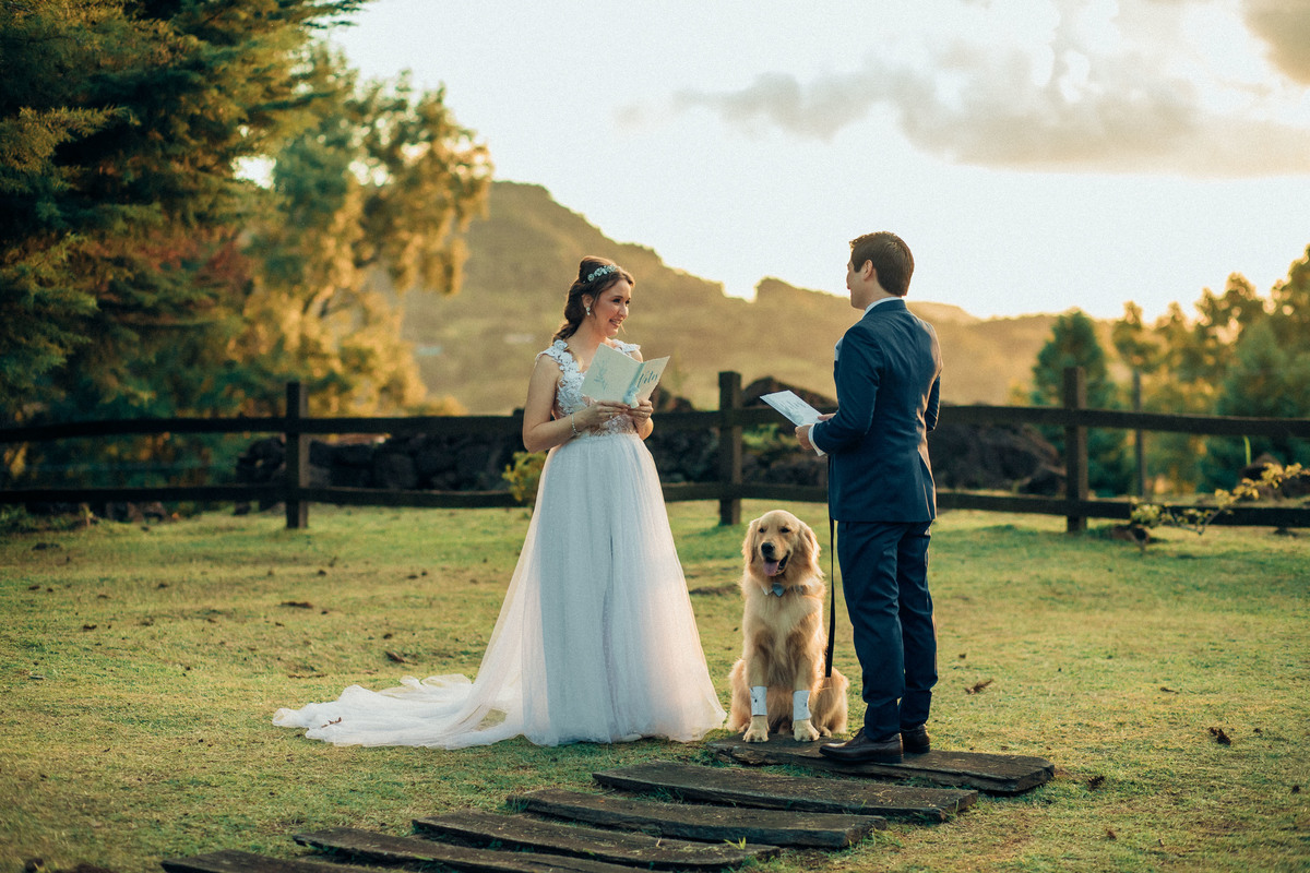 noivos romântico flores gramado canela rs noivado cerimonia destination wedding elopement brasil casamento vista montanhas pôr-do-sol golden cachorro