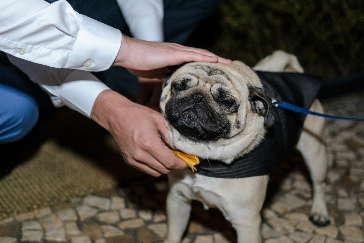 mini wedding e casamento gay