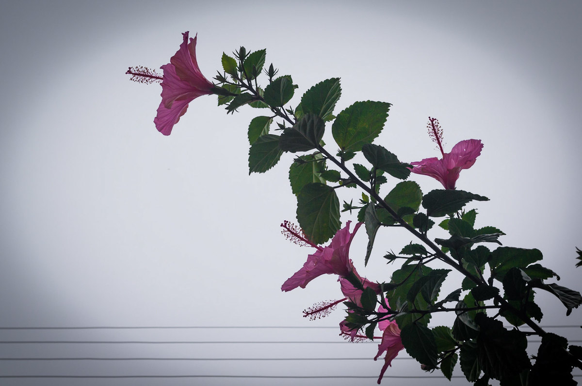 Registro das etapas de Obra de Perfuração Horizontal Direcional, HDD, para uso em material de comunicação e relatórios internos da Empresa
