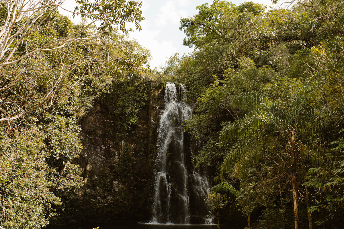 Cachoeira sonho meu, cercada por arvores, e muito alta