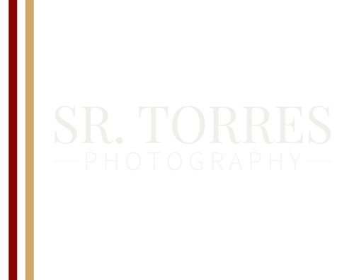 Logotipo de SR. TORRES