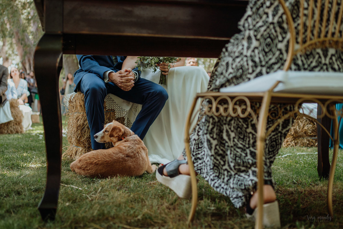 Casamento Sofia e Nuno