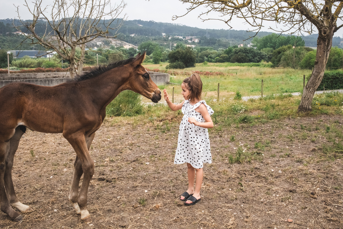Mini Sessões Dia da Criança