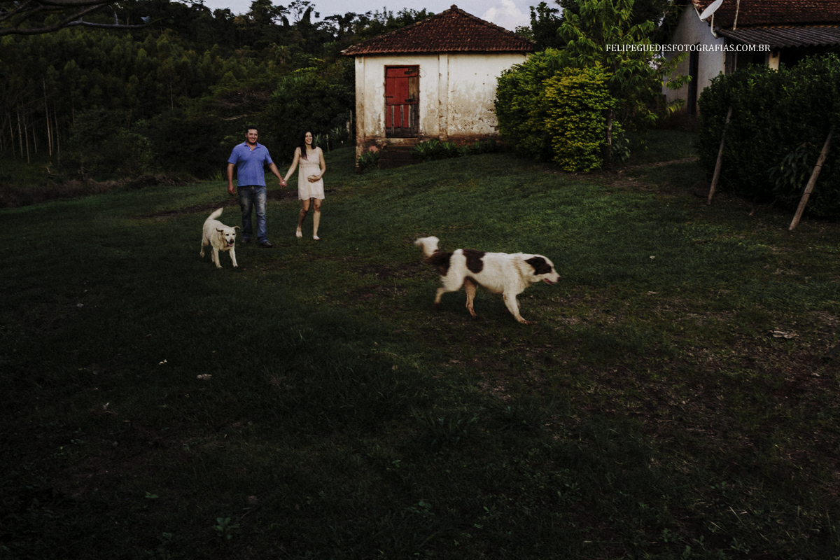 grávida e marido caminham junto com seus cachorros em fazenda