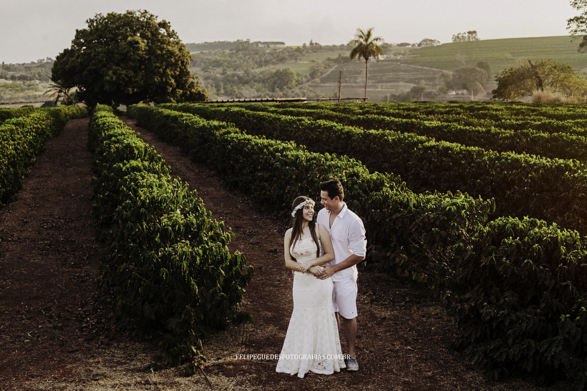 casal abraçado em cafezal