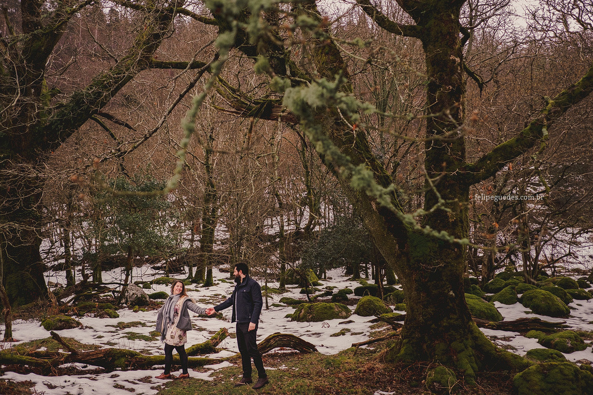 casal felizes no campo em wicklow irlanda