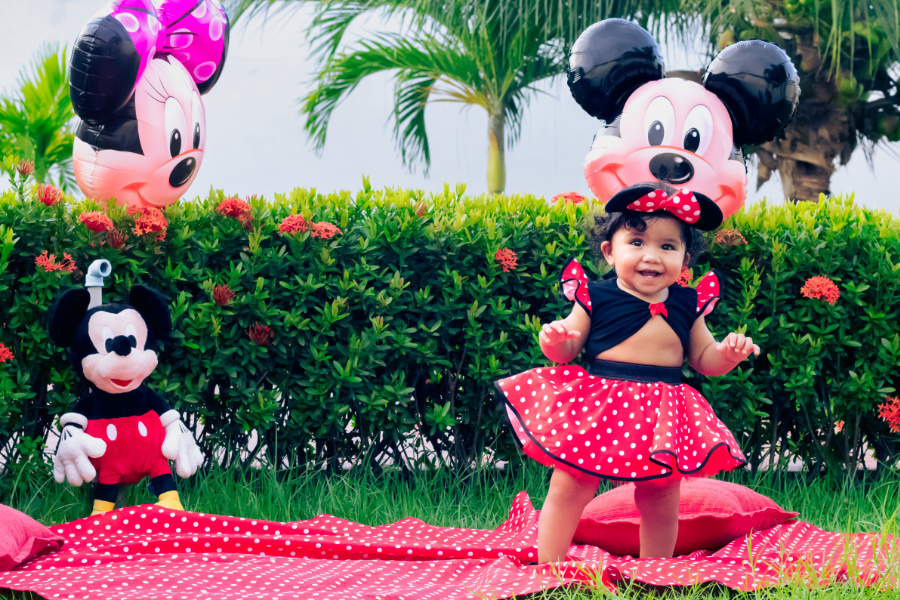 JARDIM DECORADO DE MINNIE