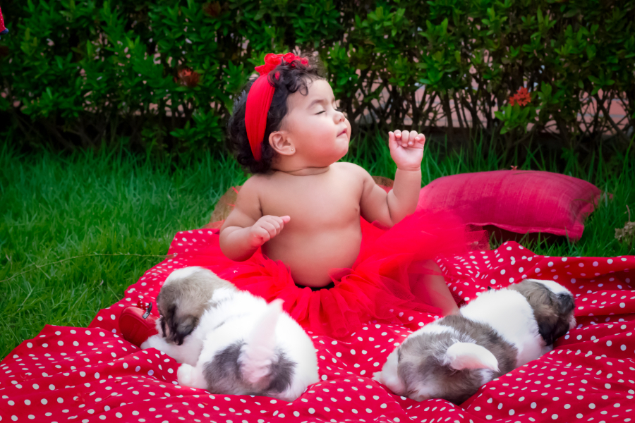 THAEMY E SEUS CACHOROS