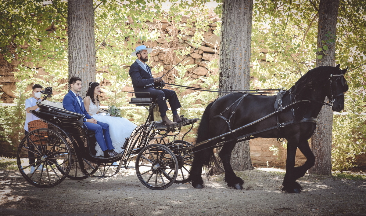 Wedding - Carla & Manuel