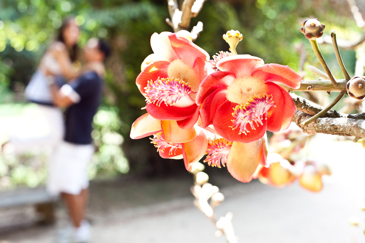 Sessão de fotos de casal, fotos pre wedding, Fotógrafo no Porto, em Portugal. Fotógrafo de casamentos no Porto, Portugal. Fotos espontaneas, fotos naturais, fotos românticas, fotografia criativa. Casal apaixonado. Fernanda Ferraro Fotografia. 