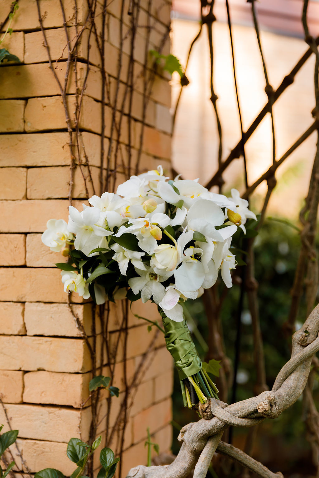 casamento-diurno-intimista-fotografo-casadascia-ribeirao-preto-fotografia-noiva-noivos-minimalista-asthetic-ar-livre-gramado-por-do-sol-entardecer-de-dia