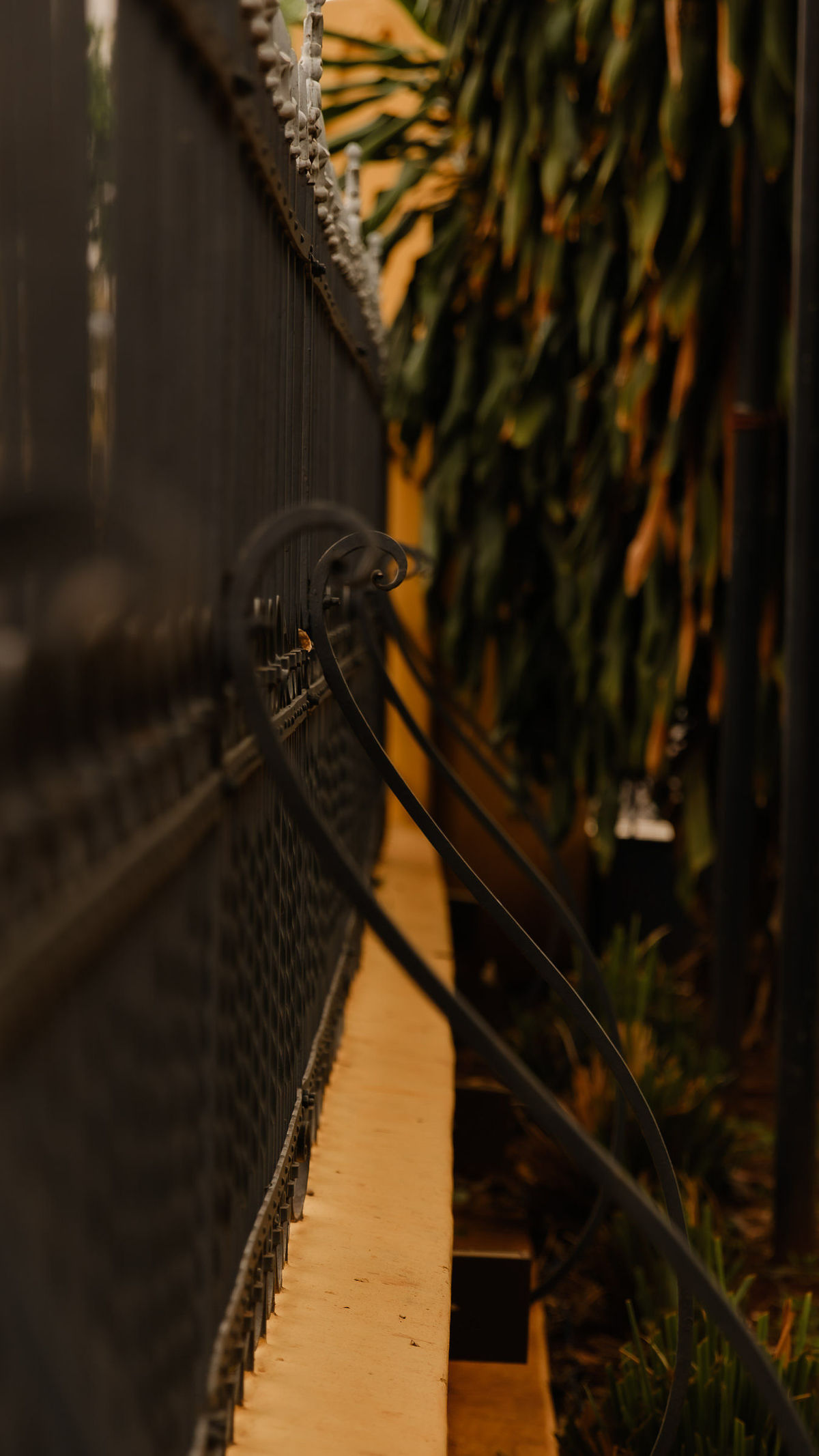 fotografo-casamento-ribeirao-preto