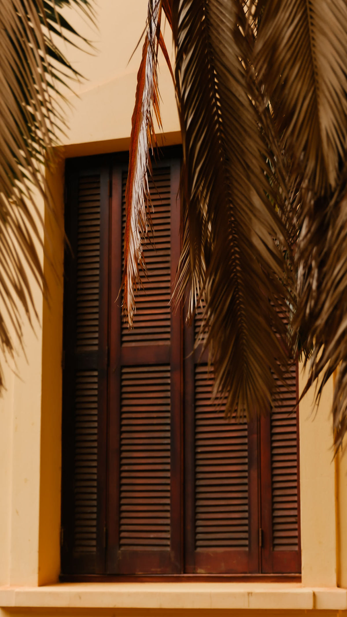 fotografo-casamento-ribeirao-preto