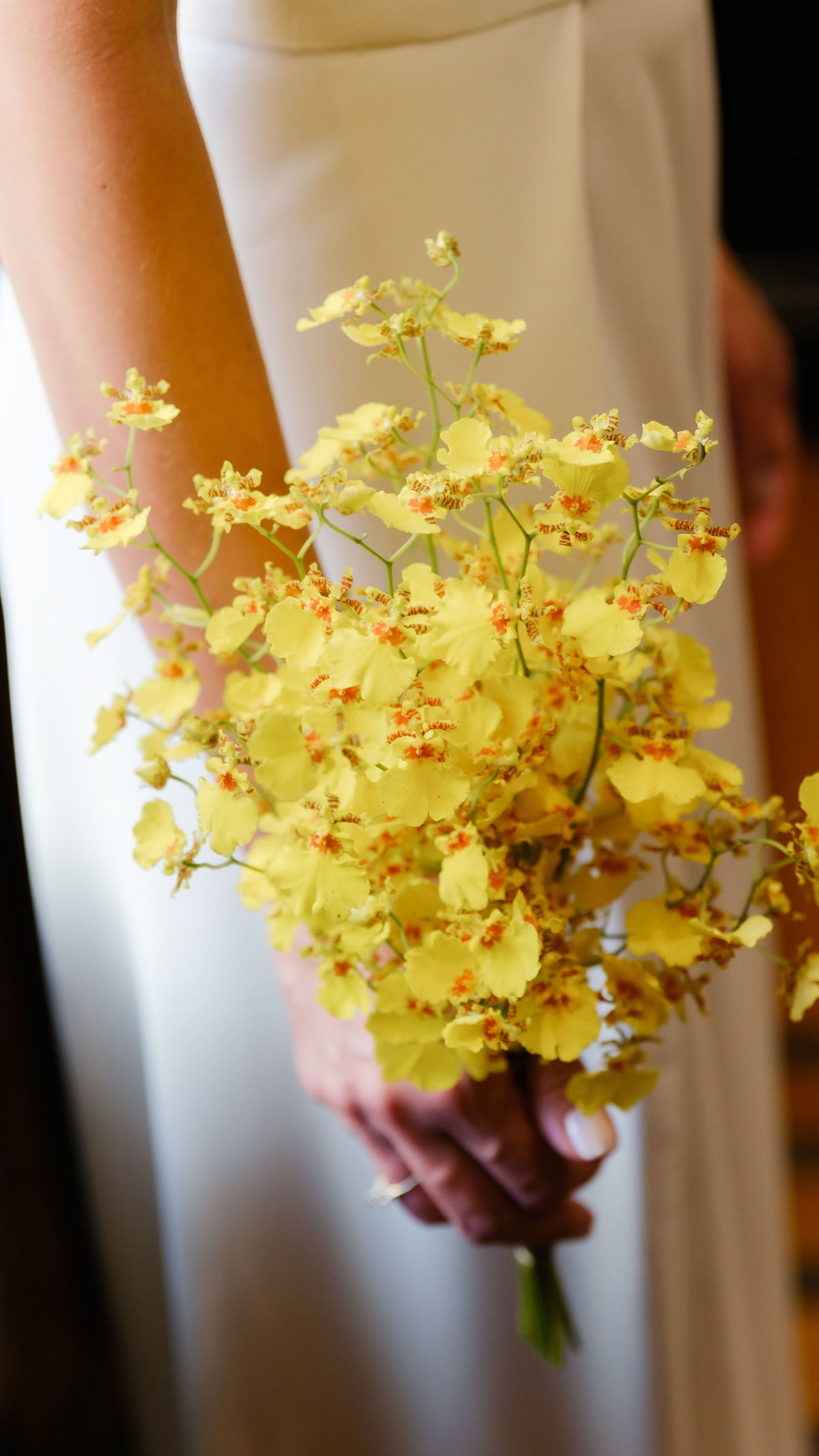 fotografo-casamento-intimista-ribeirao-preto-palacete1922
