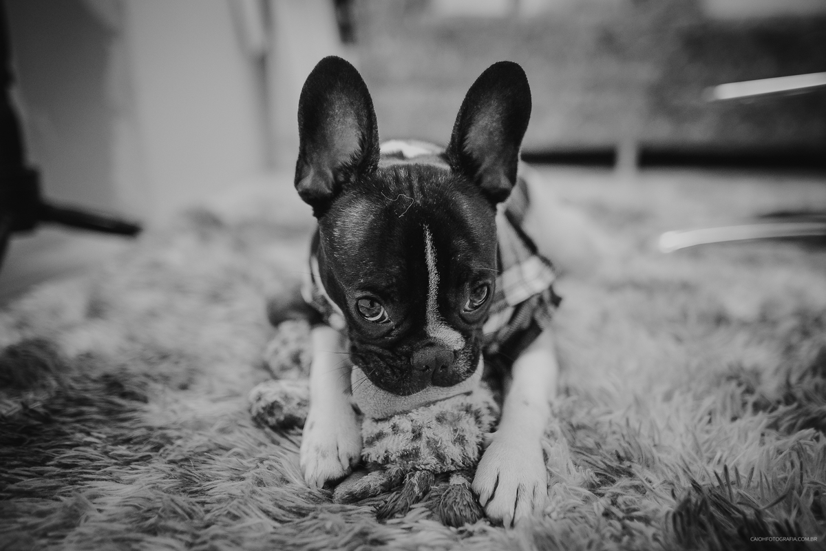 fotografia com historia fotos com emoçao casamento blindado casamento cristao retrato de noivas fotos de caio henrique 