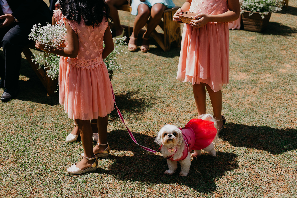 casamento de dia fotografia de casamento casamento no interior casamento ar livre fotos de caio henrique ch fotografia  noivo entrada do noivo noivo ansioso casal sorrindo casamento rustico as aliancas
