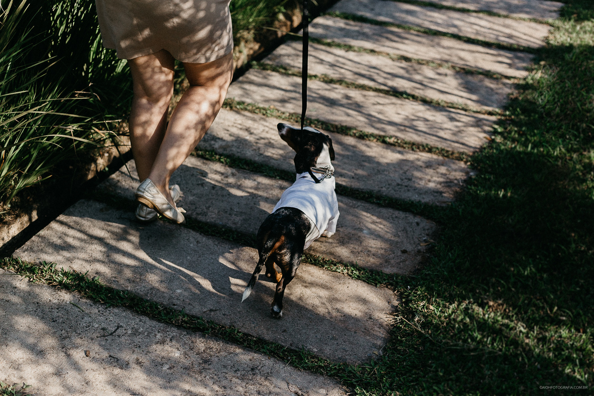 decoracao mesa fotografia de casamento decoracao de casamento casamento ao ar livre casamento de dia no campo fotografos de sao paulo ideias para casamento