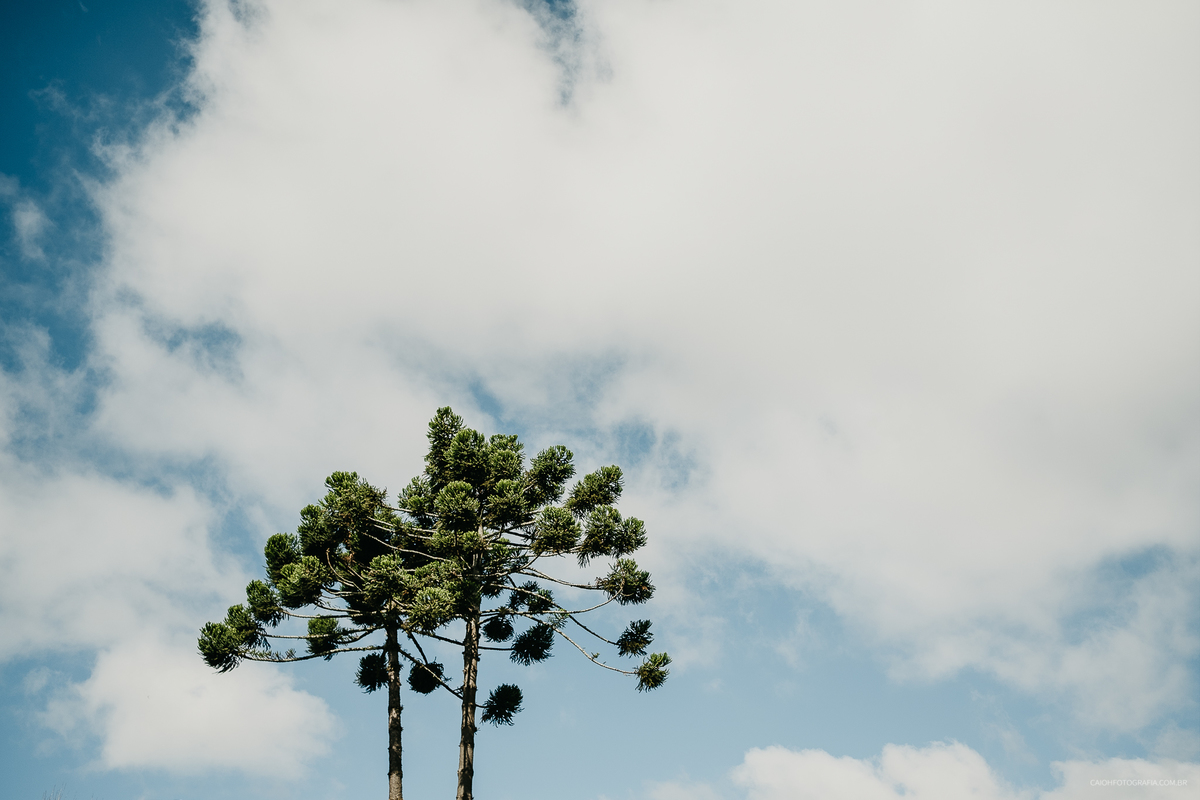 campos do jordao ensaio pre casamento fotografia de casamento caio henrique noivos sorrindo inverno 