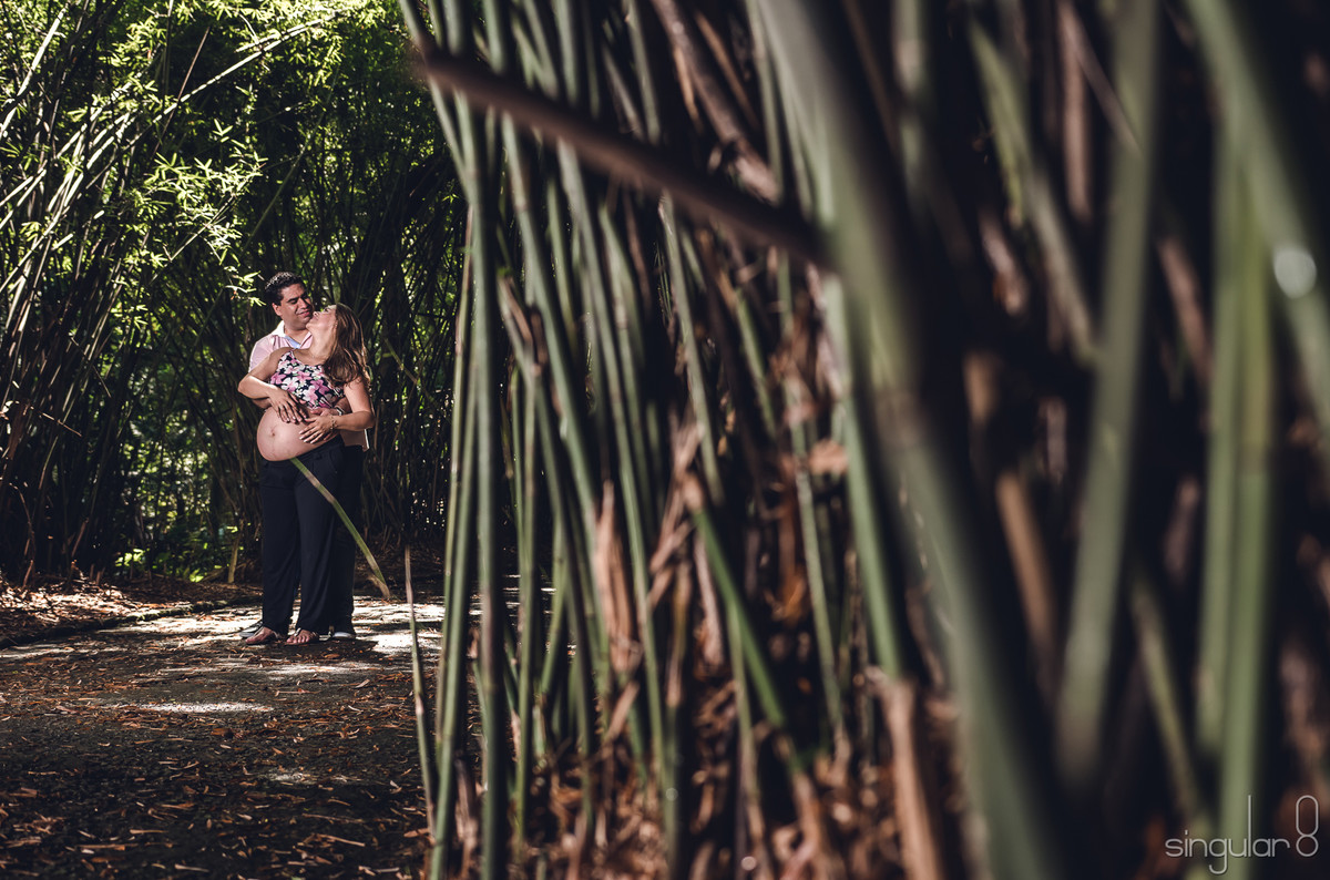 fotos bambuzais Jardim Botânico