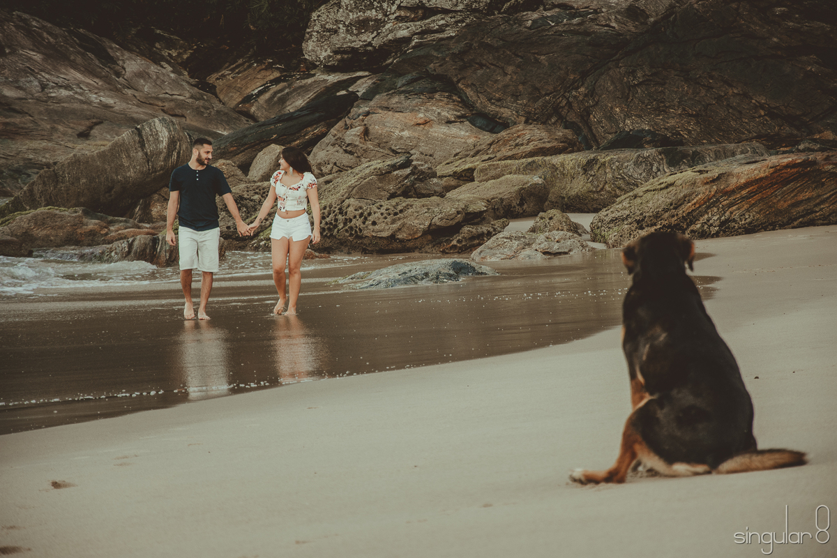 cachorro em ensaio pré casamento na praia de santiago