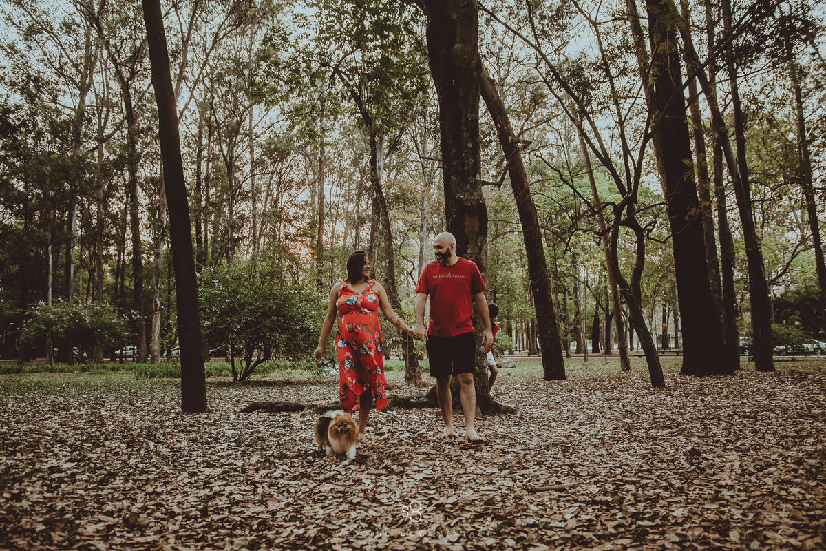 fotografia de ensaio de família no parque ibirapuera em são paulo