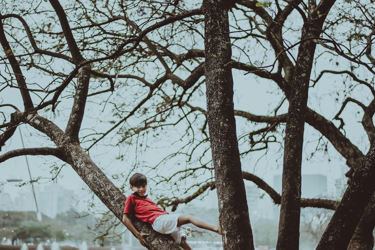 Menino em cima da árvore em ensaio fotográfico no Parque Ibirapuera
