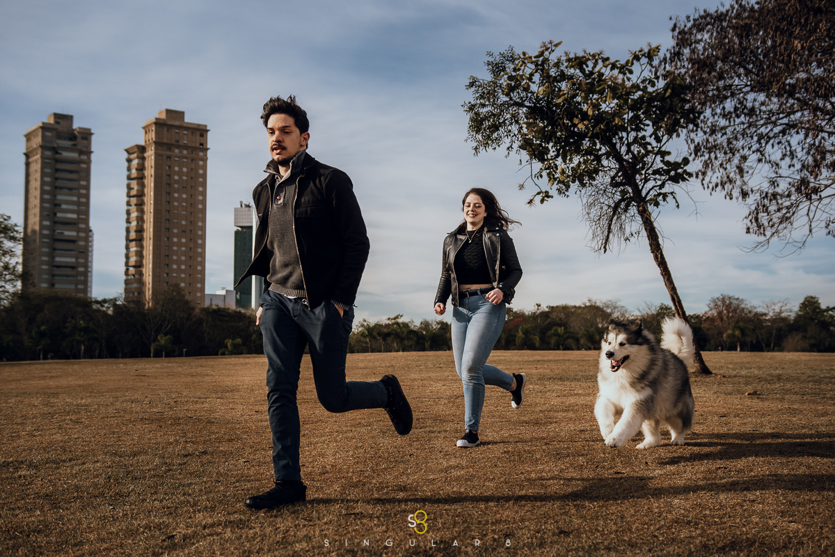 Fotografo de cachorro em São Paulo Parque Vila Lobos