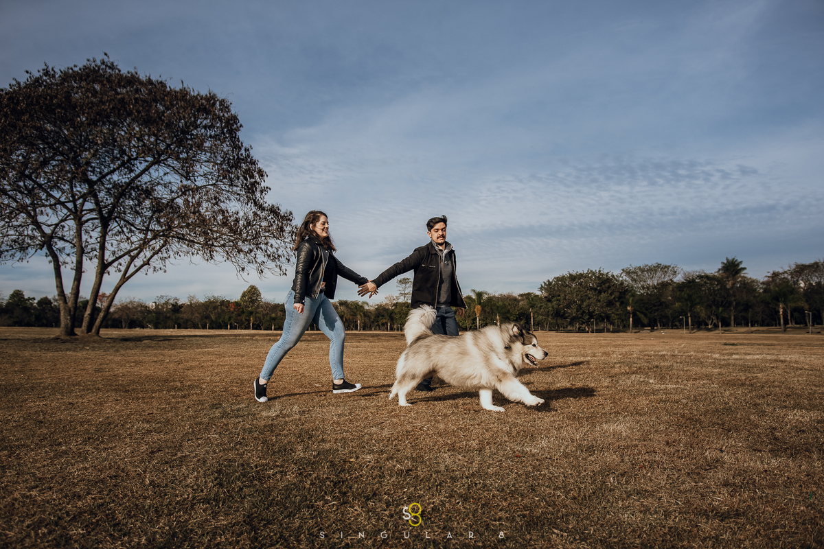 Fotografia de ensaio de casal com cachorro no Parque Vila Lobos em São Paulo