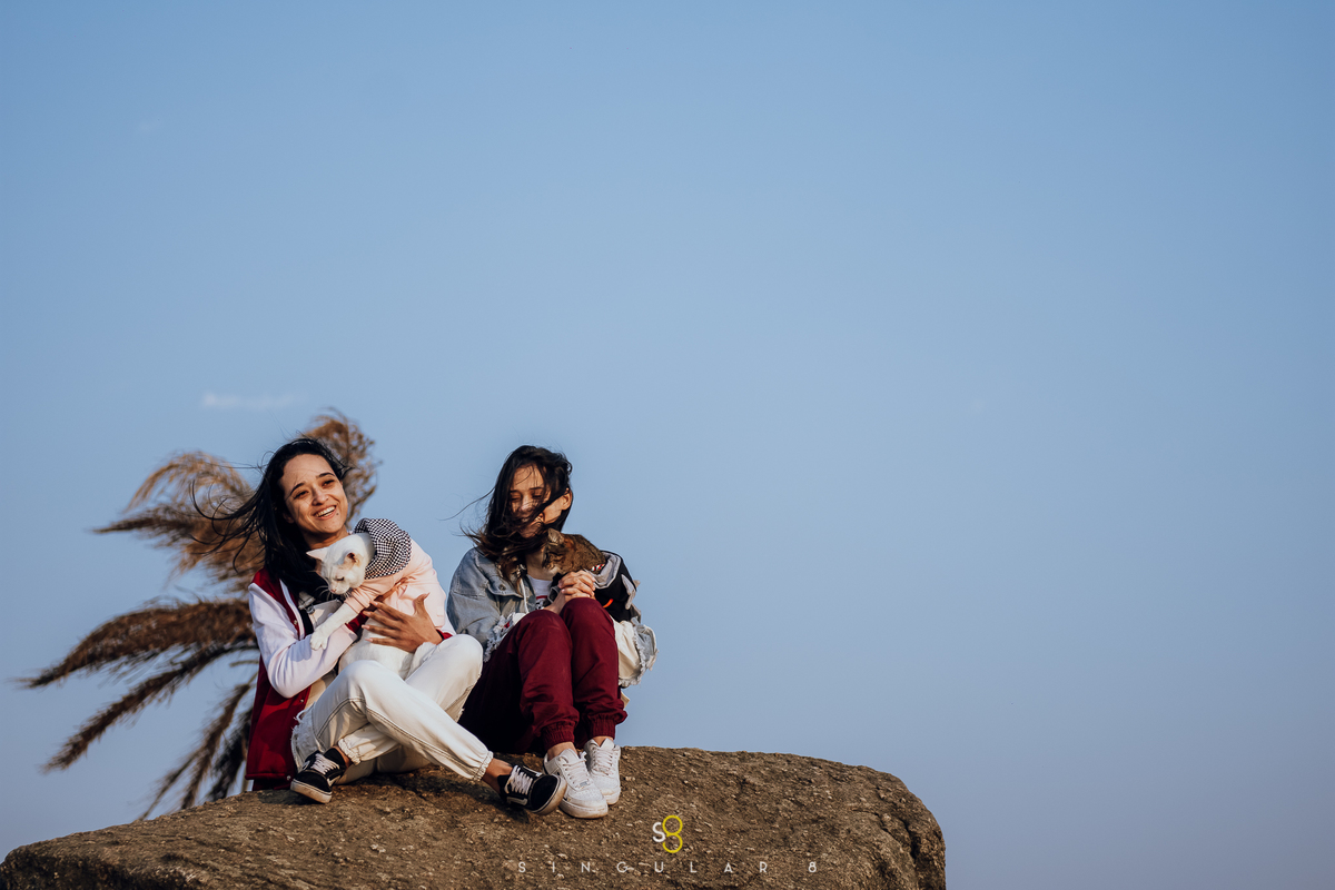 Fotografia de ensaio pré casamento com gatos no pico do olho dagua em mairiporã são paulo