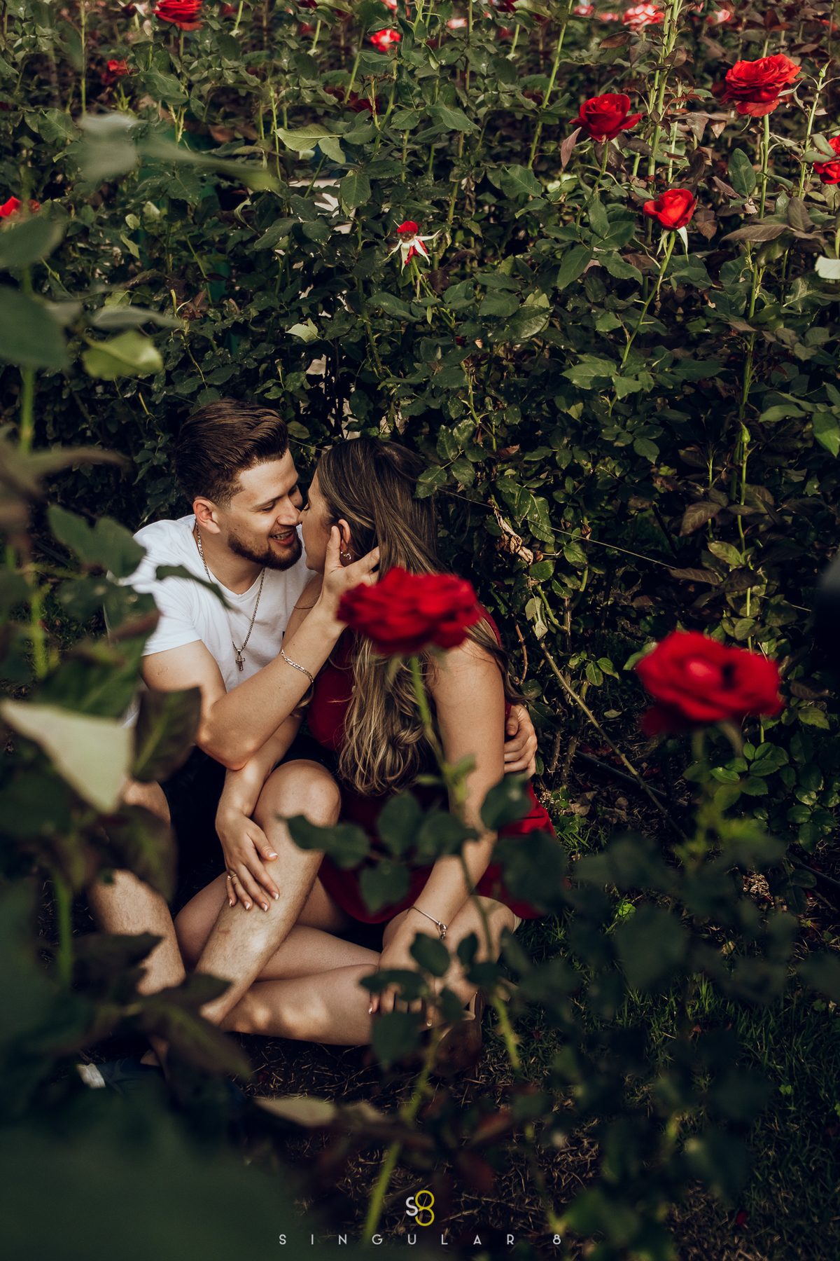 ensaio pré casamento nas rosas em Holambra