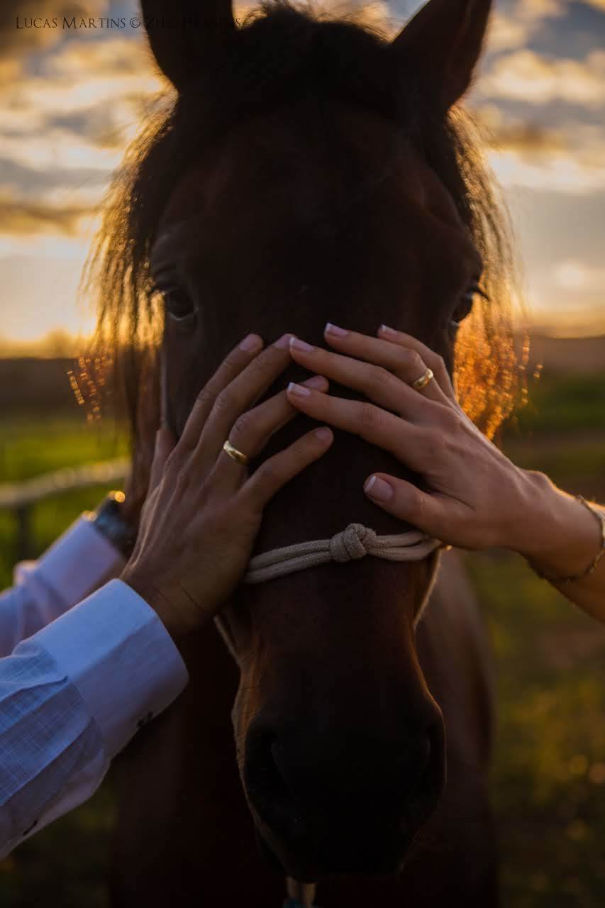 casal tocando o rosto do cavalo com as mãos mostrando as alianças