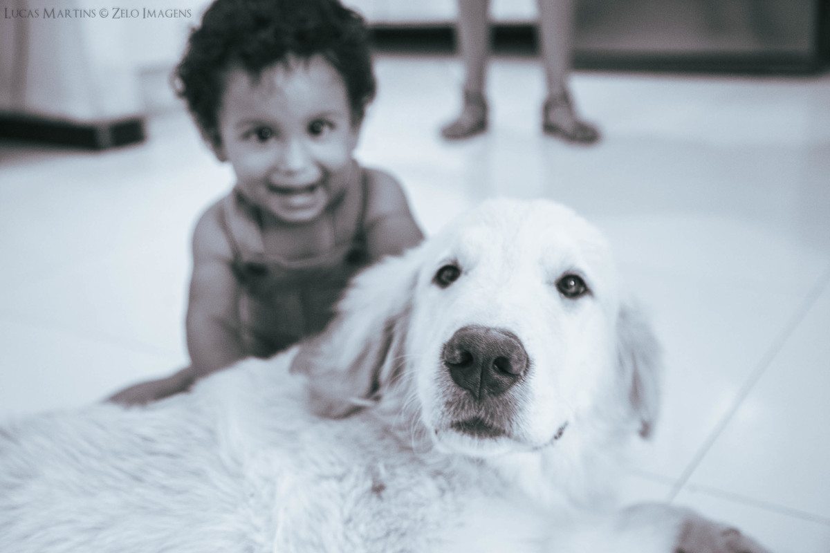 ensaio familia filho e cachorro