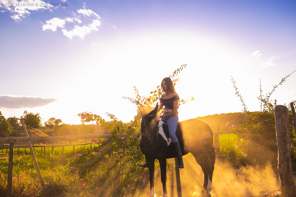ensaio debutante aracuai haras do jequi debutante montada no cavalo