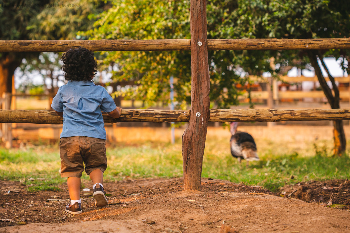 ensaio em familia no sitio haras do jequi araçuaí mg camisa azul