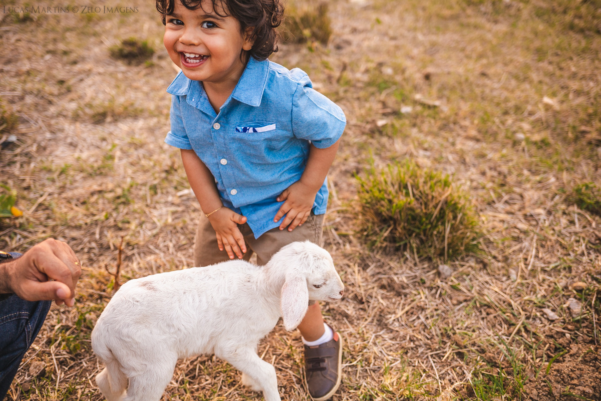 ensaio em familia no sitio haras do jequi araçuaí mg camisa azul ensaio de com cabrito bode