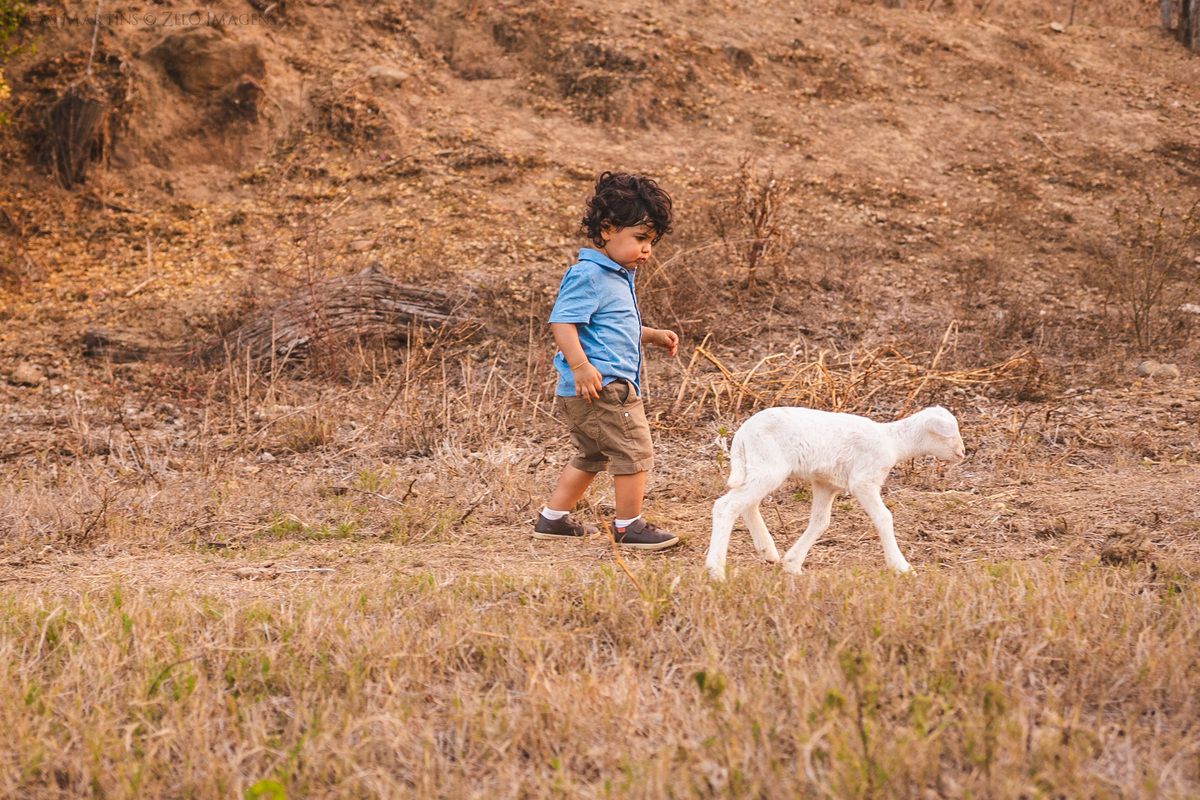 ensaio em familia no sitio haras do jequi araçuaí mg camisa azul ensaio de com cabrito bode