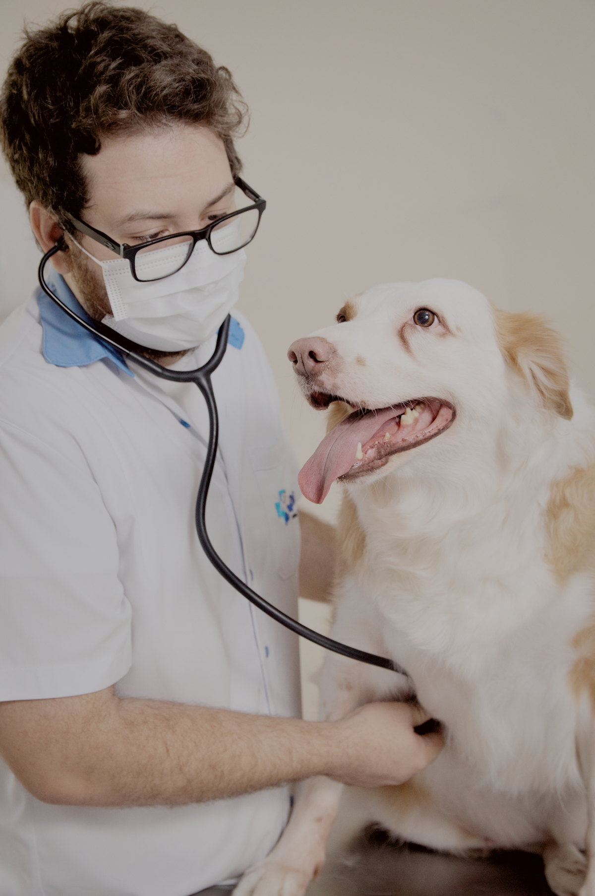 Médico veterinário