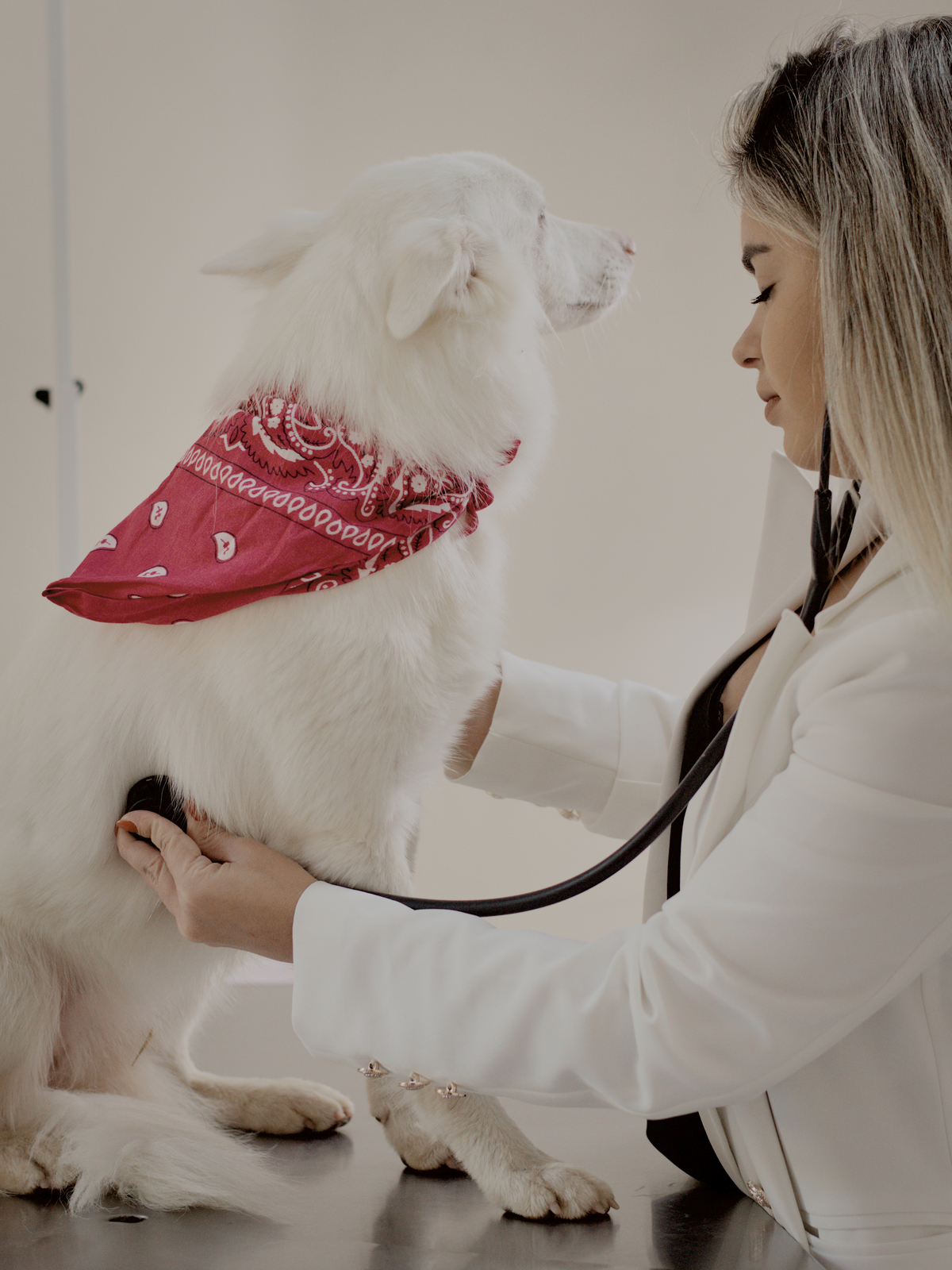 Médica veterinária