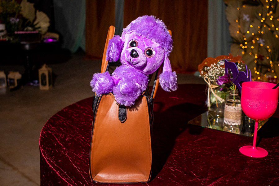 aniversario Júlia 25 anos Jau sp Valber Trevisan