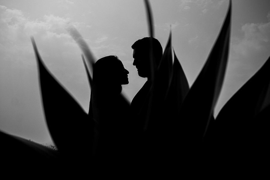 ensaio pré wedding incantare bariri Priscila e Ramon Valber Trevisan