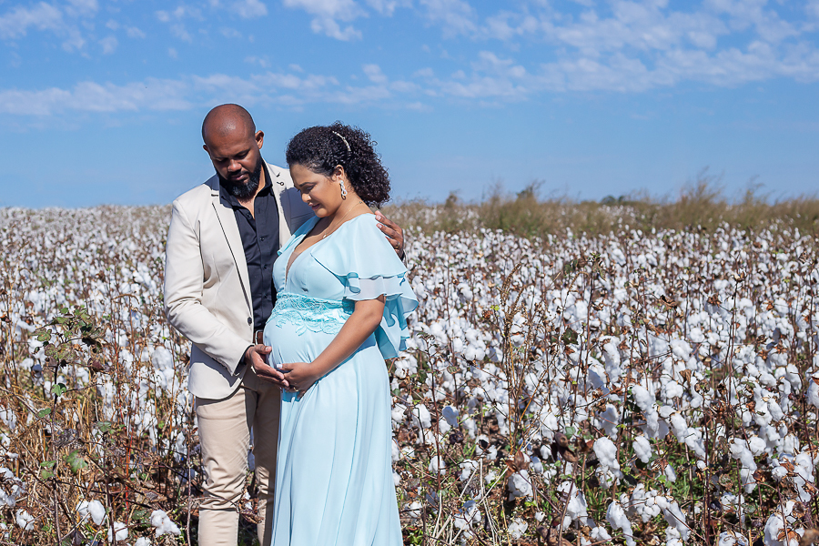 ensaio gestante em plantação de algodão