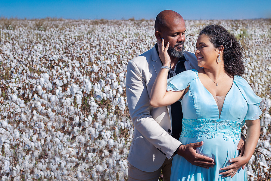 ensaio gestante em plantação de algodão